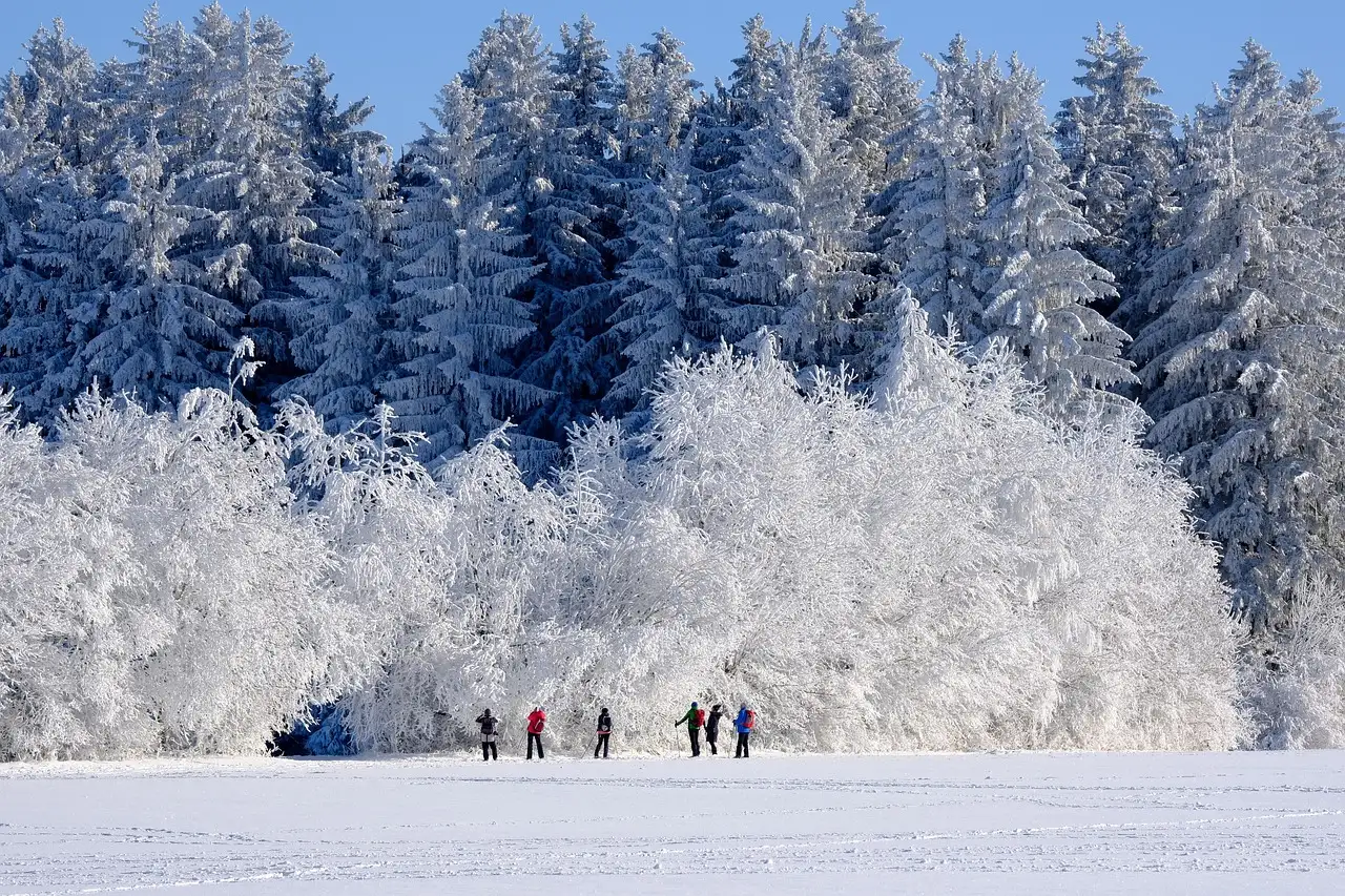 Beste winterhandschoenen wielrennen: warm en comfortabel